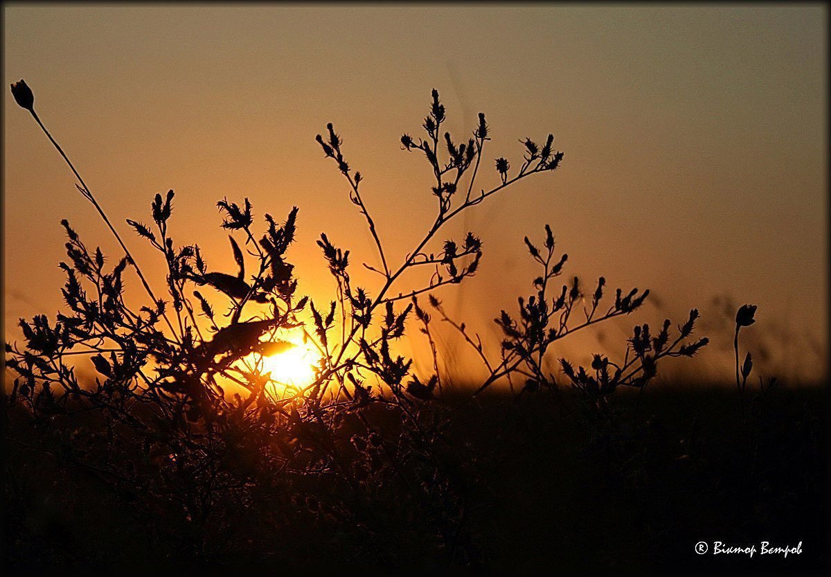 px ^hottest day panoramio
